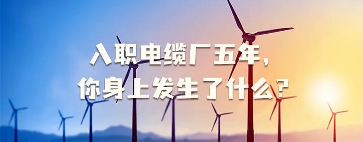 入職電纜廠五年，你身上發(fā)生了哪些變化~